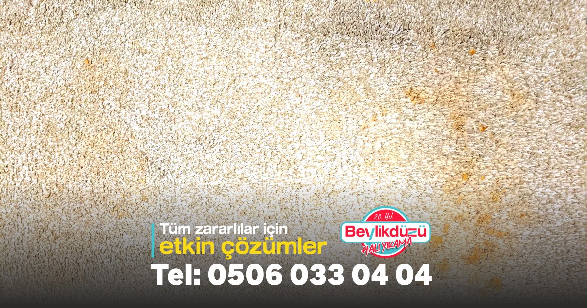 Lekeyi Kusan Halı Nasıl Temizlenir?